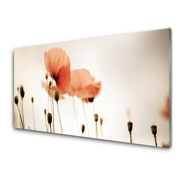 Glass Wall Art Poppies floral red