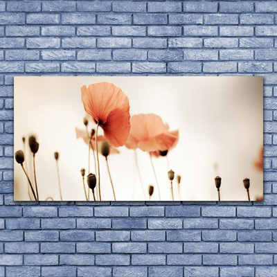 Glass Wall Art Poppies floral red