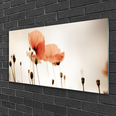 Glass Wall Art Poppies floral red