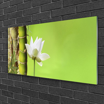 Glass Wall Art Bamboo stalk flower floral green white