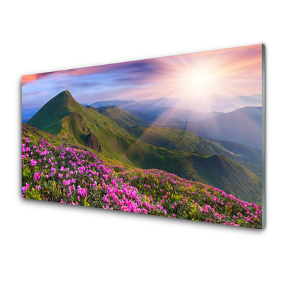 Glass Wall Art Mountains meadow flowers landscape blue green pink