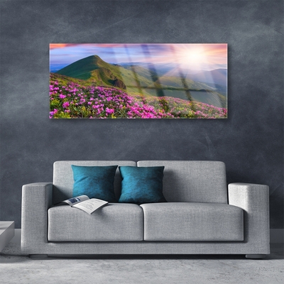 Glass Wall Art Mountains meadow flowers landscape blue green pink