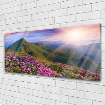 Glass Wall Art Mountains meadow flowers landscape blue green pink