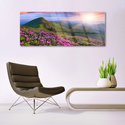 Glass Wall Art Mountains meadow flowers landscape blue green pink