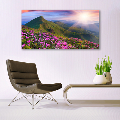 Glass Wall Art Mountains meadow flowers landscape blue green pink