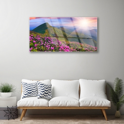 Glass Wall Art Mountains meadow flowers landscape blue green pink