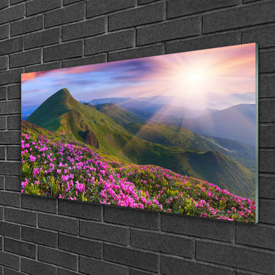 Glass Wall Art Mountains meadow flowers landscape blue green pink