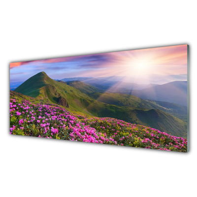 Glass Wall Art Mountains meadow flowers landscape blue green pink