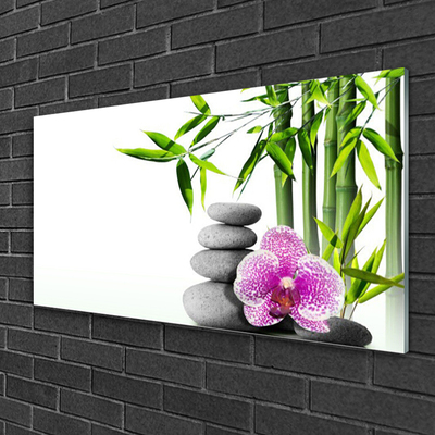 Glass Wall Art Bamboo cane flower stones floral green pink grey