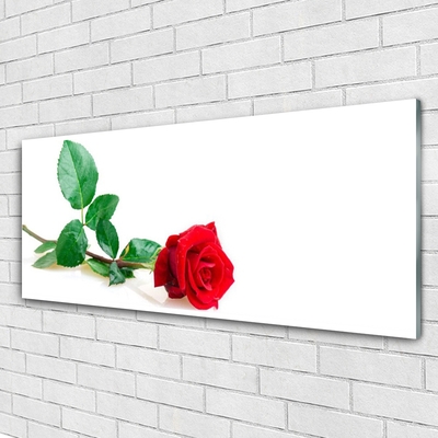 Glass Wall Art Rose floral red