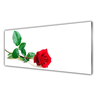 Glass Wall Art Rose floral red