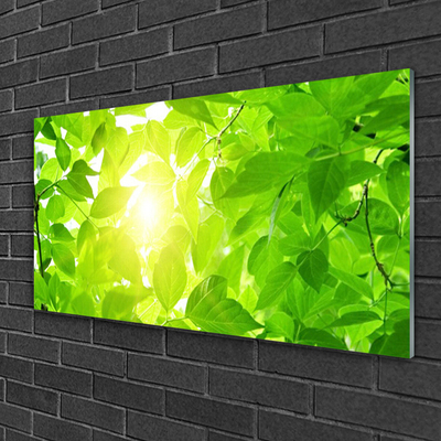 Glass Wall Art Leaves floral green