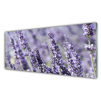 Glass Wall Art Flowers floral purple