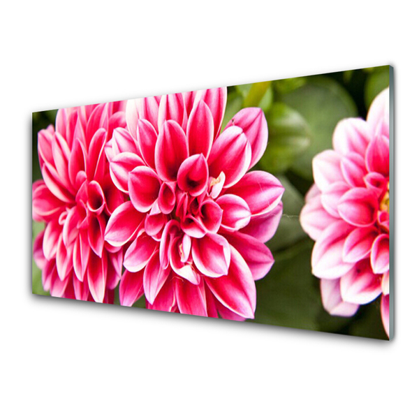 Glass Wall Art Flowers floral red white