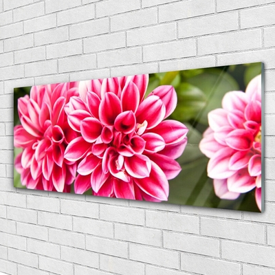 Glass Wall Art Flowers floral red white