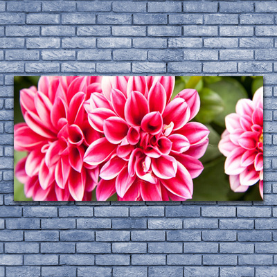 Glass Wall Art Flowers floral red white