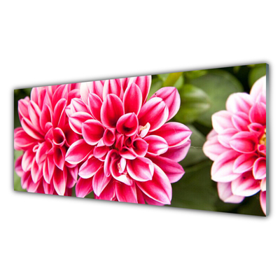 Glass Wall Art Flowers floral red white