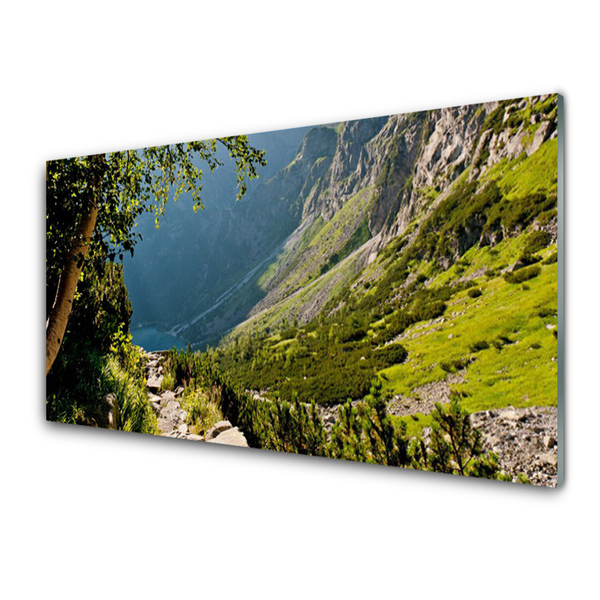 Glass Wall Art Mountain forest nature grey green