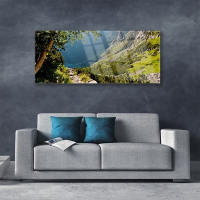 Glass Wall Art Mountain forest nature grey green