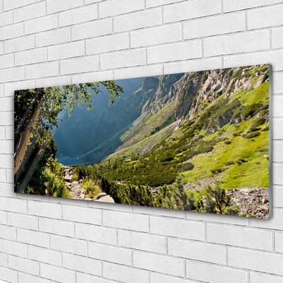 Glass Wall Art Mountain forest nature grey green