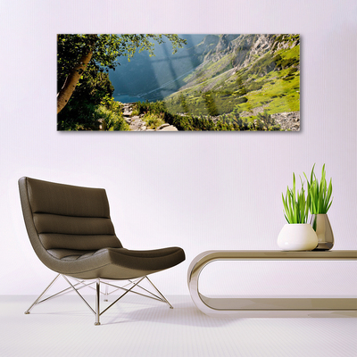 Glass Wall Art Mountain forest nature grey green