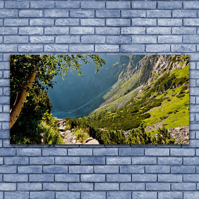 Glass Wall Art Mountain forest nature grey green