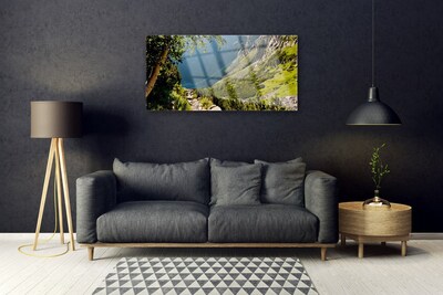 Glass Wall Art Mountain forest nature grey green