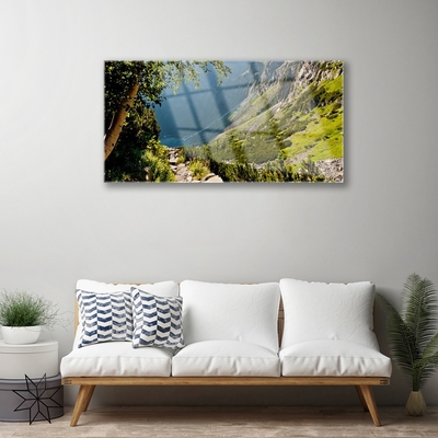 Glass Wall Art Mountain forest nature grey green