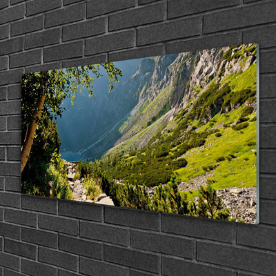 Glass Wall Art Mountain forest nature grey green