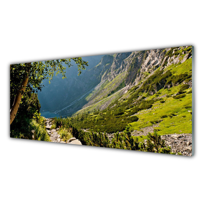 Glass Wall Art Mountain forest nature grey green