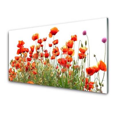 Glass Wall Art Poppies nature red