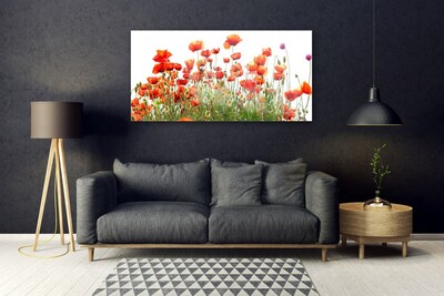 Glass Wall Art Poppies nature red