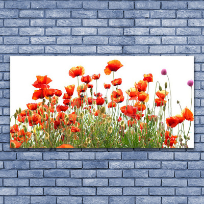 Glass Wall Art Poppies nature red