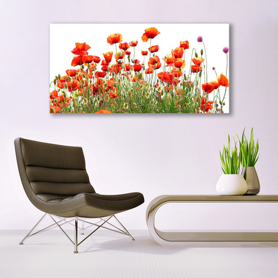 Glass Wall Art Poppies nature red