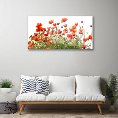 Glass Wall Art Poppies nature red