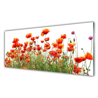 Glass Wall Art Poppies nature red