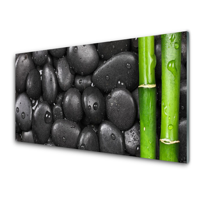 Glass Wall Art Bamboo stalk stones art green black