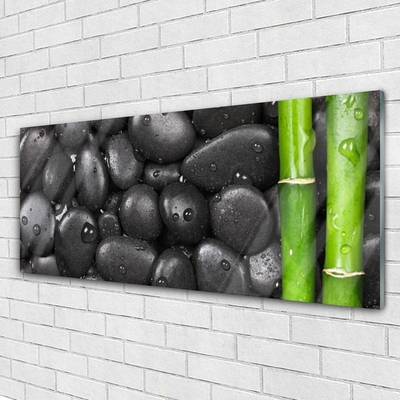 Glass Wall Art Bamboo stalk stones art green black