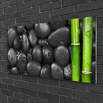 Glass Wall Art Bamboo stalk stones art green black