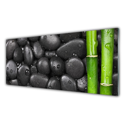 Glass Wall Art Bamboo stalk stones art green black