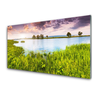 Glass Wall Art Grass lake nature green blue