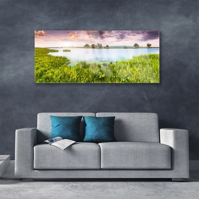 Glass Wall Art Grass lake nature green blue