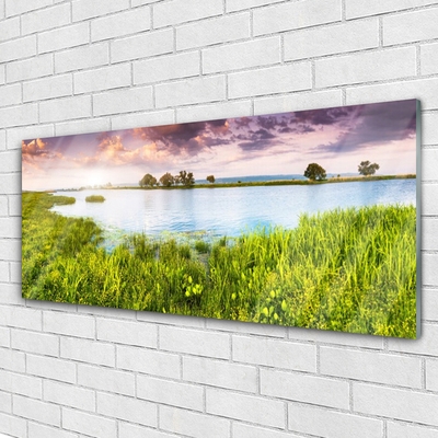 Glass Wall Art Grass lake nature green blue