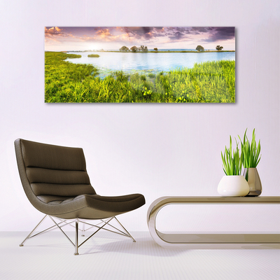 Glass Wall Art Grass lake nature green blue