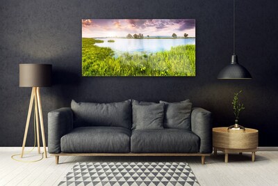 Glass Wall Art Grass lake nature green blue