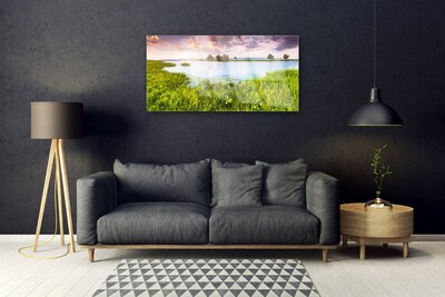 Glass Wall Art Grass lake nature green blue