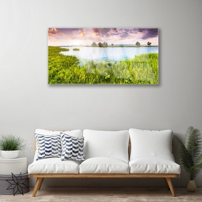 Glass Wall Art Grass lake nature green blue