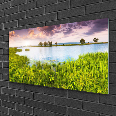 Glass Wall Art Grass lake nature green blue