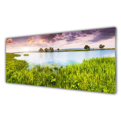 Glass Wall Art Grass lake nature green blue