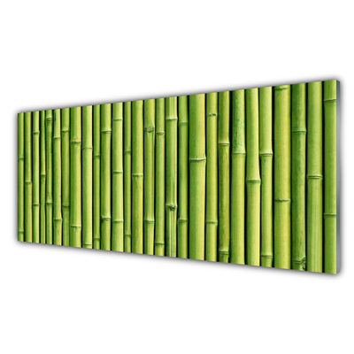 Glass Wall Art Bamboo canes floral green